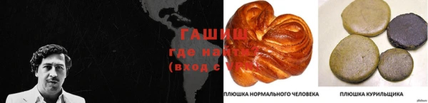 spice Ельня