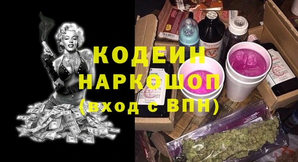 spice Ельня